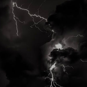 Meet your Posher, Laney